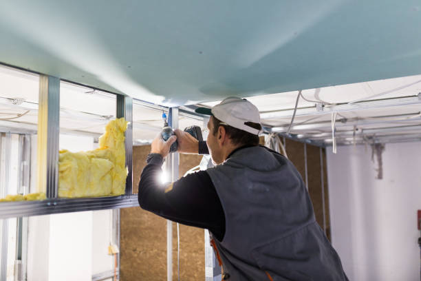 Best Residential Insulation in Roanoke, AL