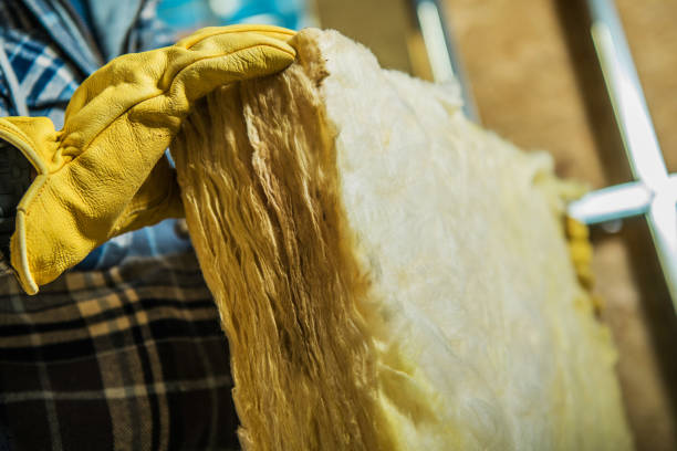 Best Insulation Installation Services in Roanoke, AL